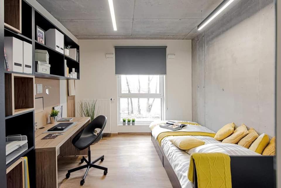 Shed Living Krakau