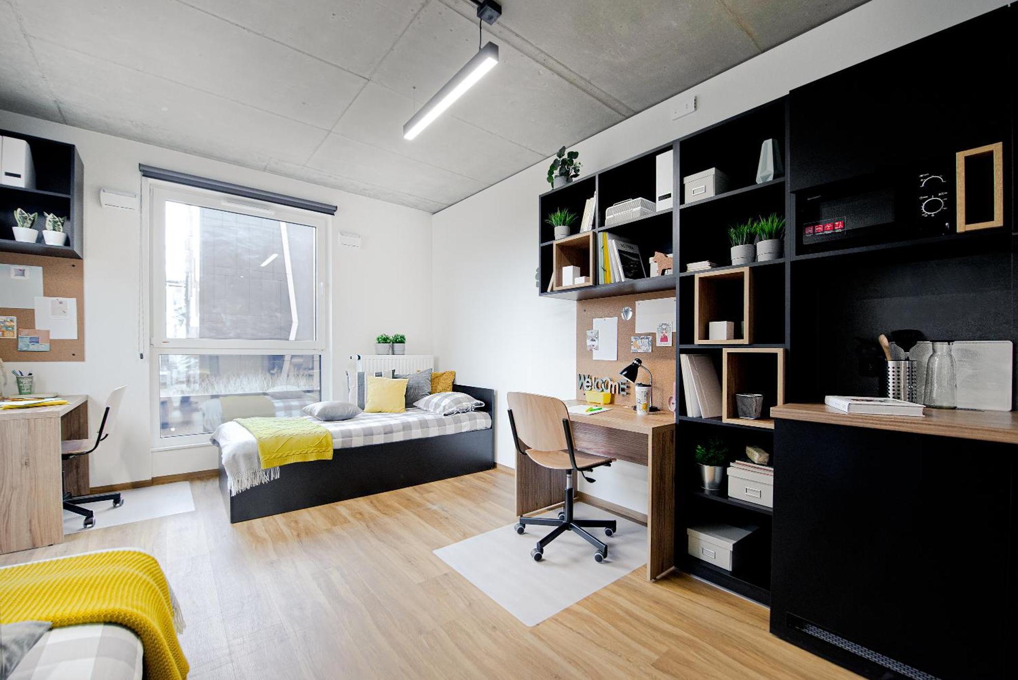 Shed Living Krakow